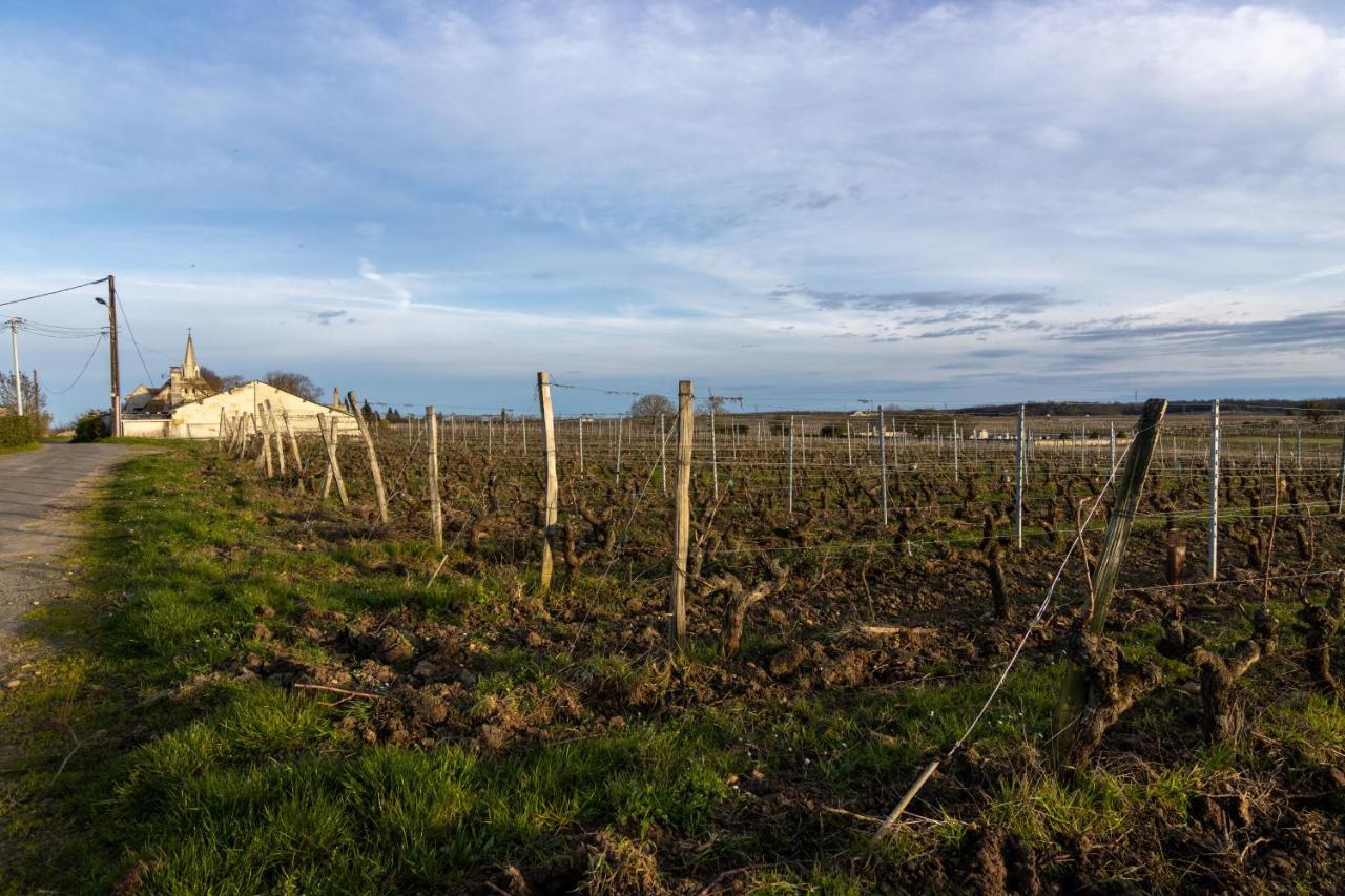 Parnay Maison Chaleureuse-Grand Jardin-Proche Saumur מראה חיצוני תמונה